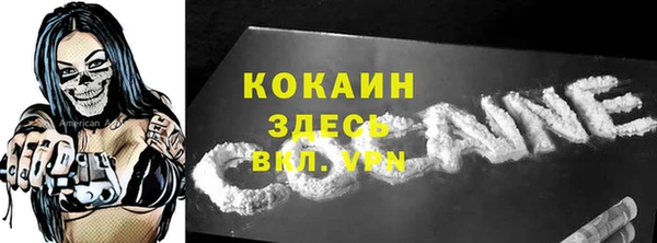 соль ск Лагань
