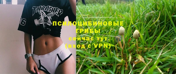 дживик Лабытнанги