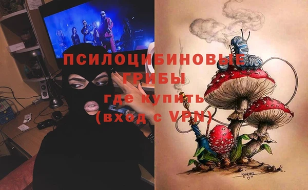соль ск Лагань