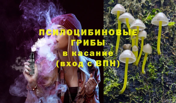 соль ск Лагань