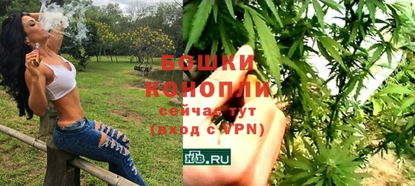 дживик Лабытнанги